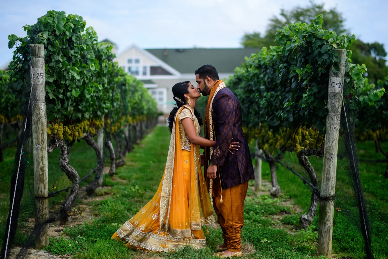 Naveen & Seena's Wedding Day: Long Island, NY