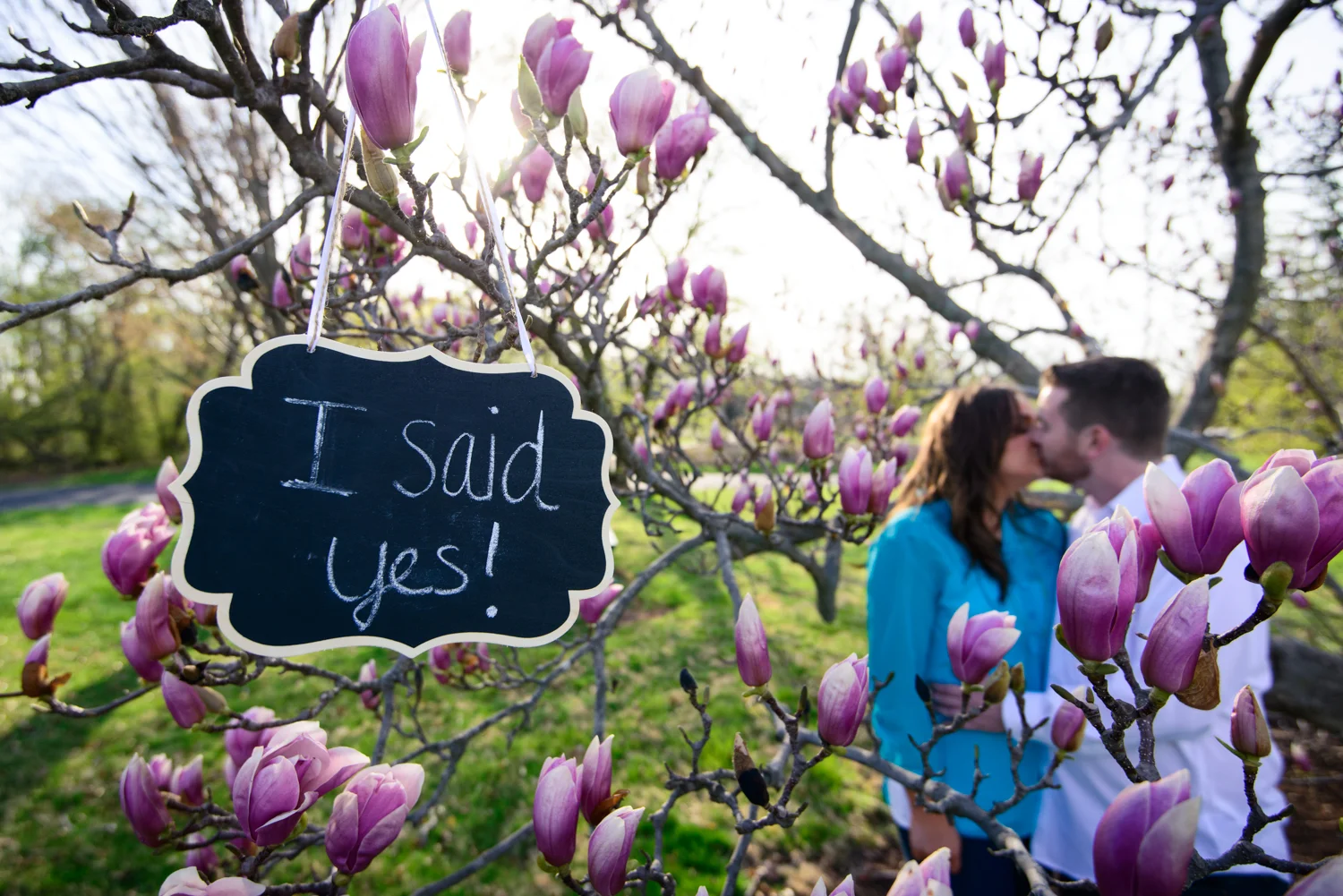 Nikki & Tom's Engagement Shoot, Dukes Farm, Hillsborough NJ