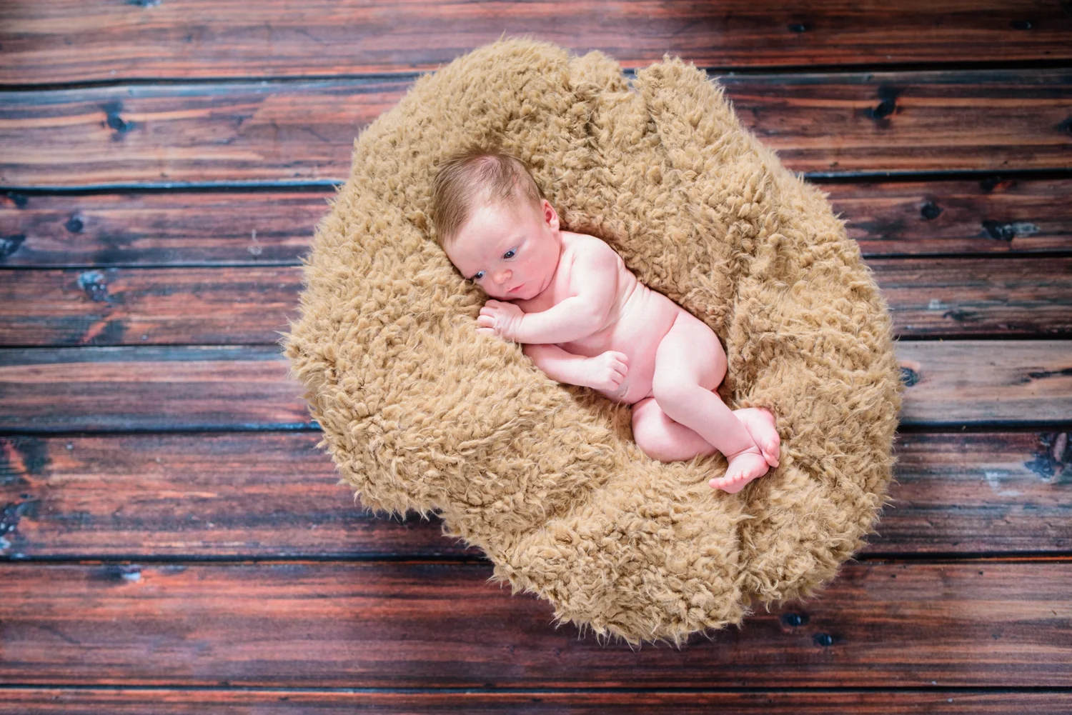 JCWoodPhotography-8.jpg