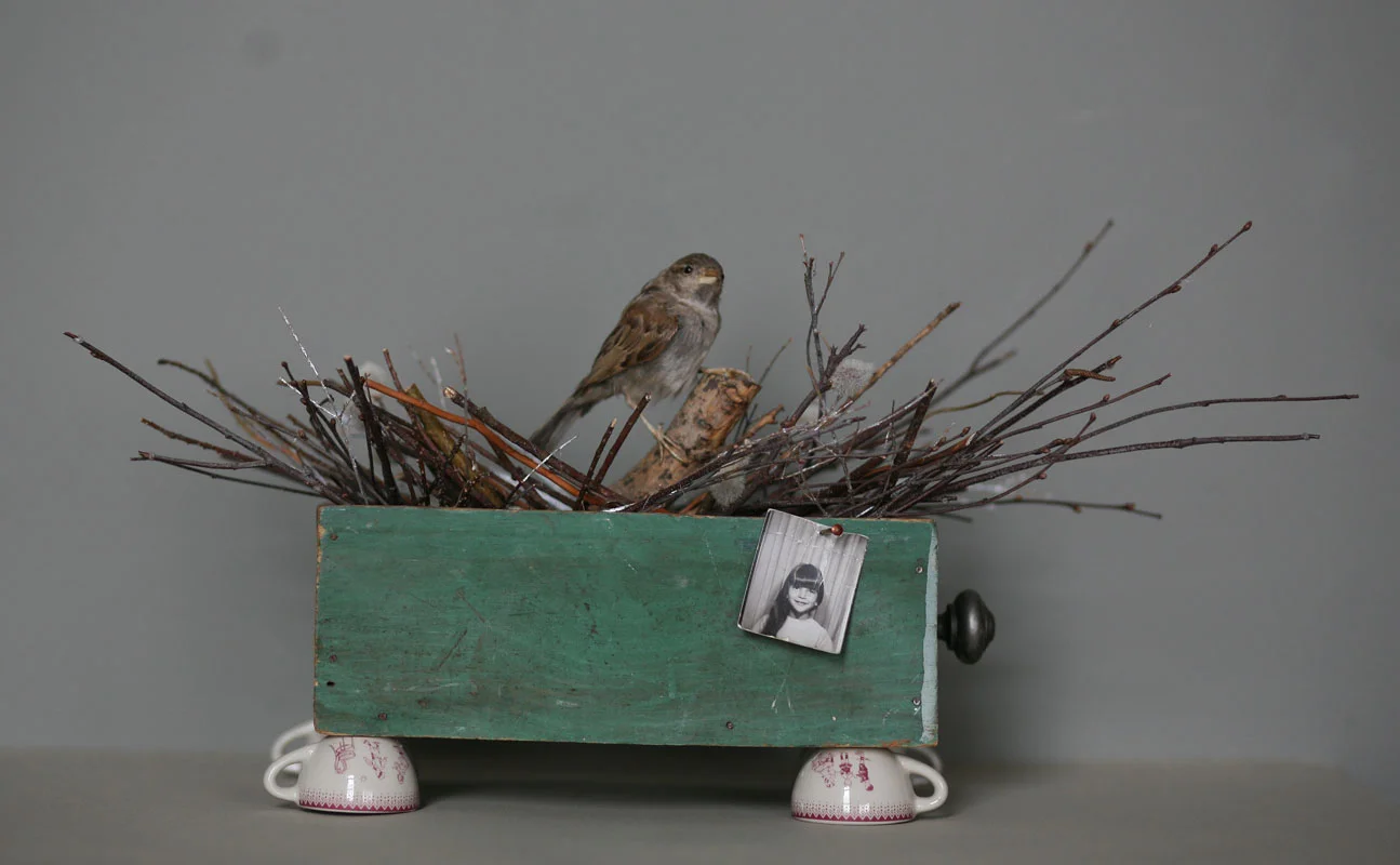 Eulogy, painted wooden box, taxidermy sparrow, miniature tea cups, branches, brass knob, photograph, 2009