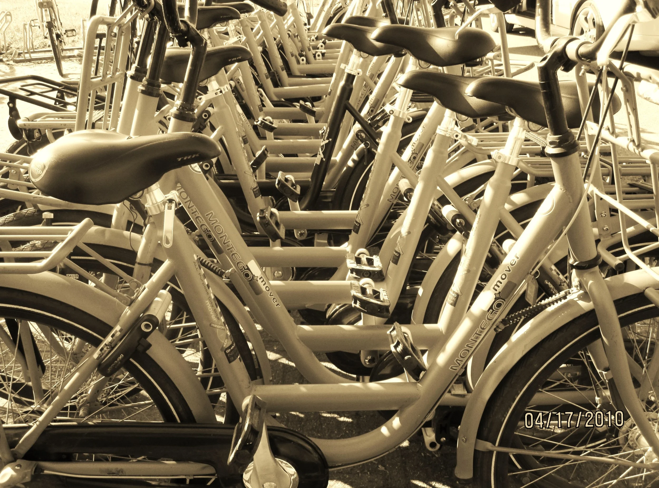 Bicycles of Amsterdam