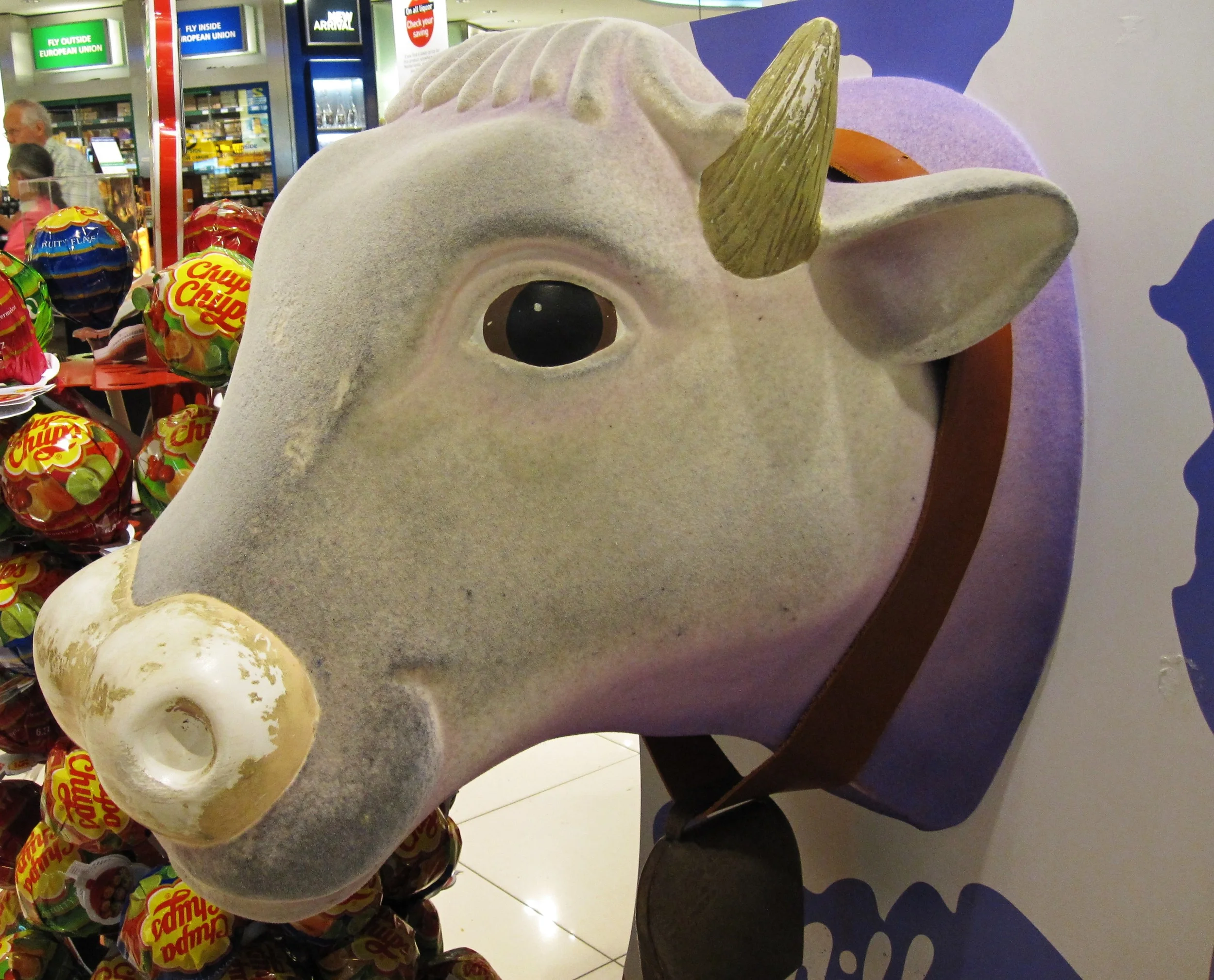 Perhaps Not-so-Holy Cow!