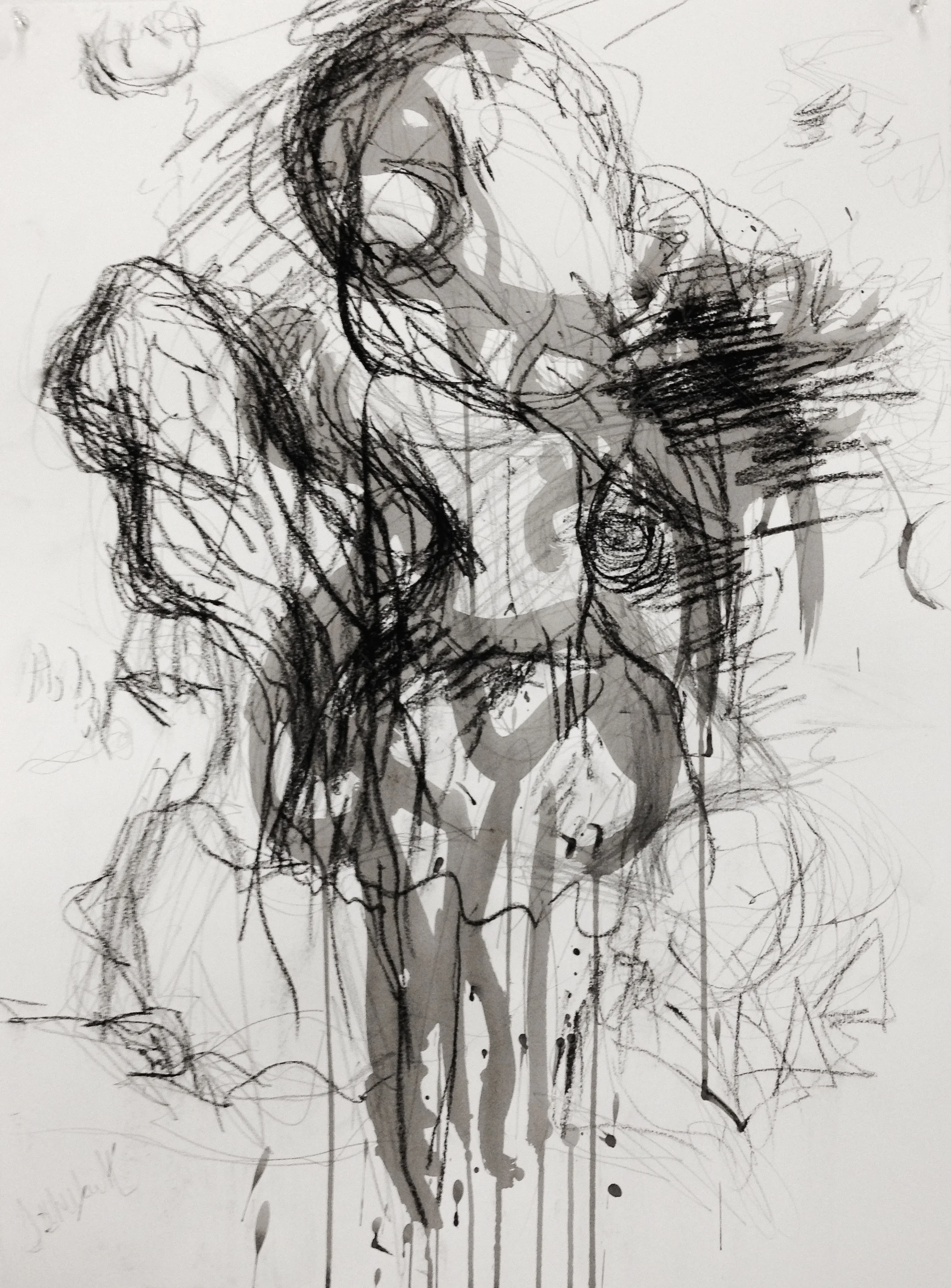 Duck, 2014. Ink, charcoal, graphite on paper..jpg