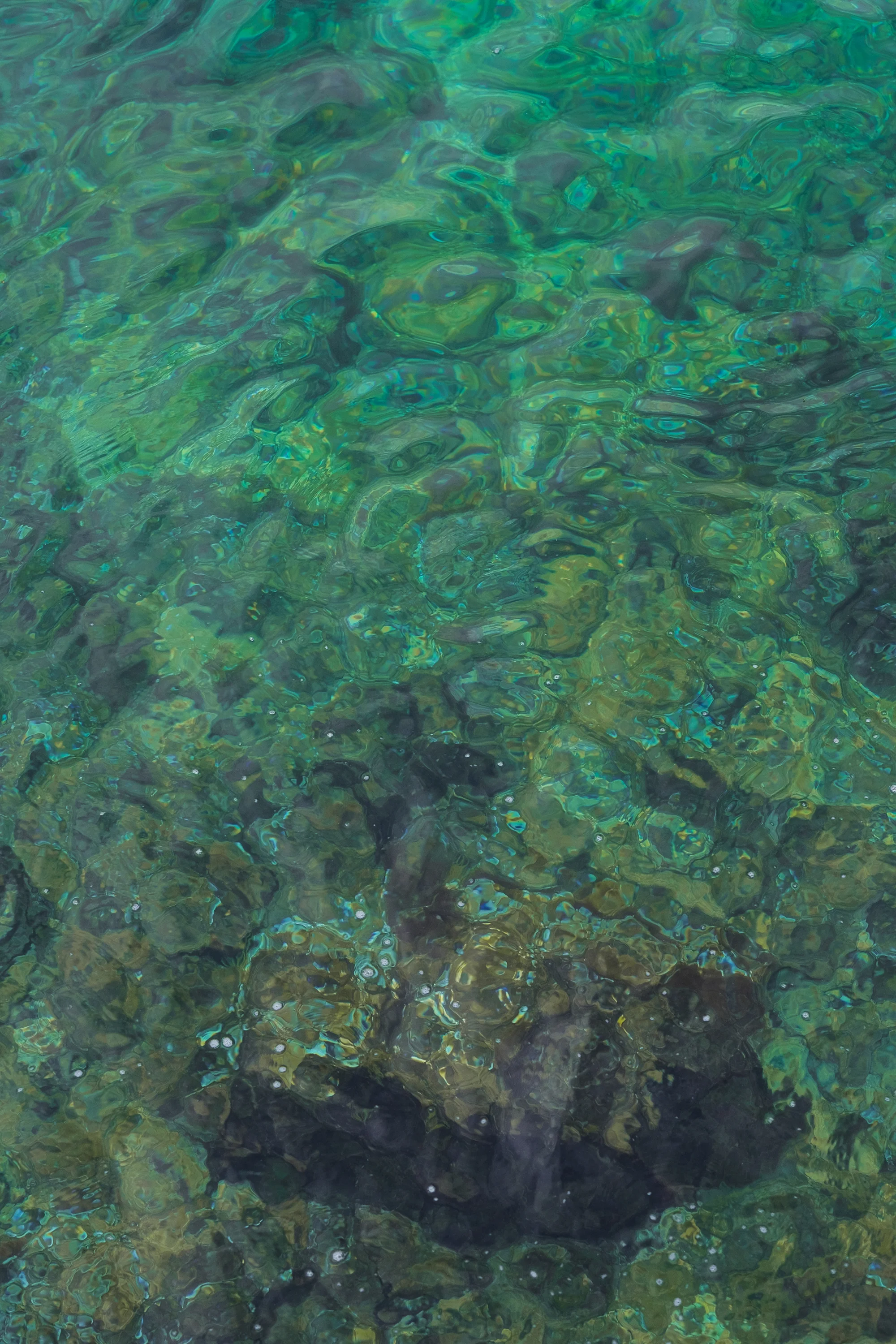DSCF6625.jpg