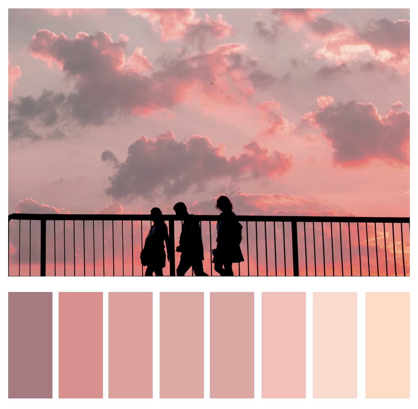 Figure 5c: Shades of pink.