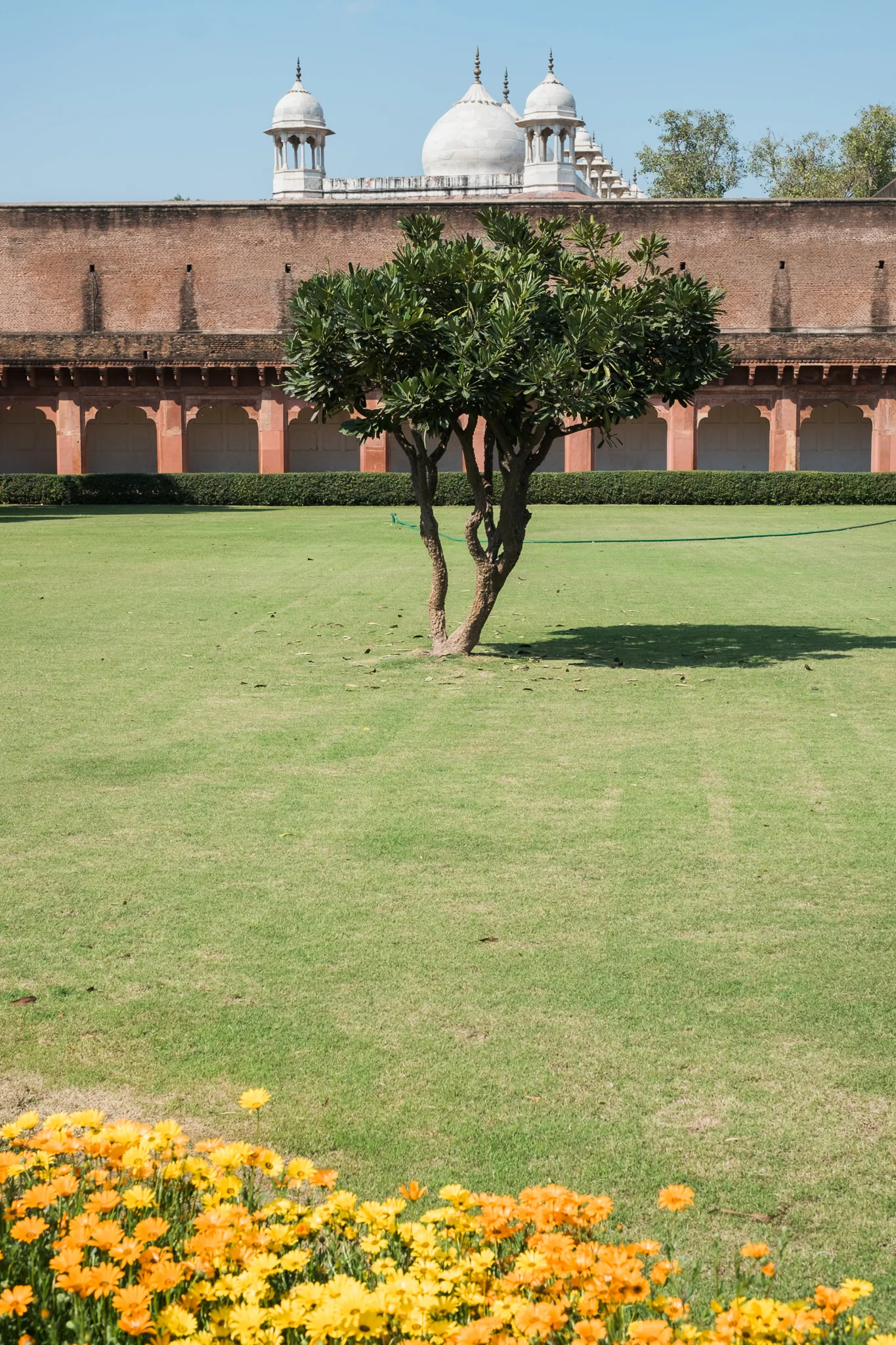 Agra India Travel Street Photography (26 of 39).jpg