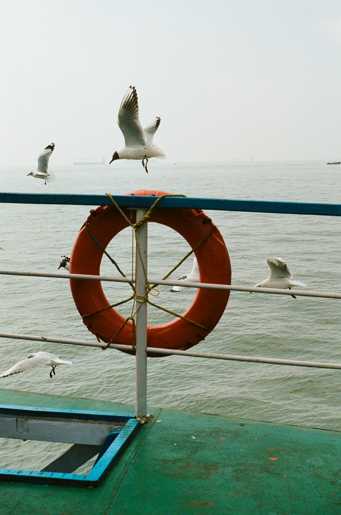 Mumbai India India Travel Street Photography (22 of 55).jpg