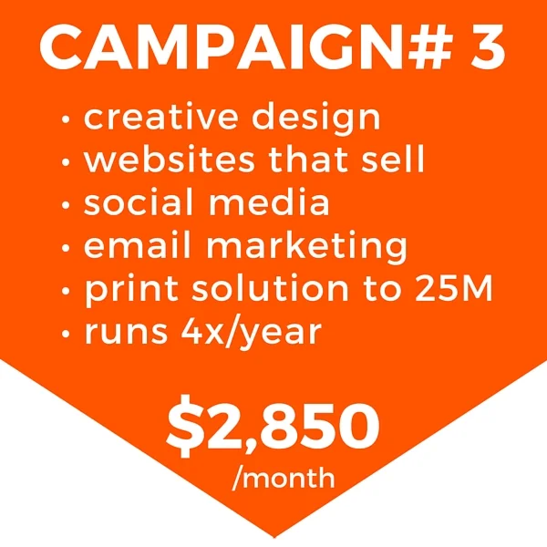 Campaign# 3