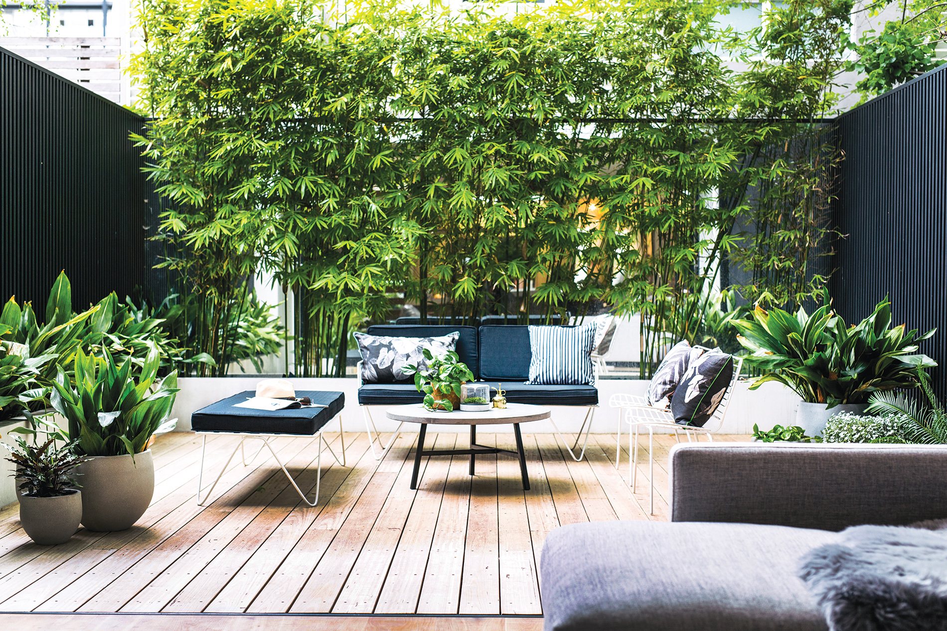Outdoor sofa, bench seat and easy chairs from Space To Create. Cushions, moss terrarium and mister from Ivy Muse.