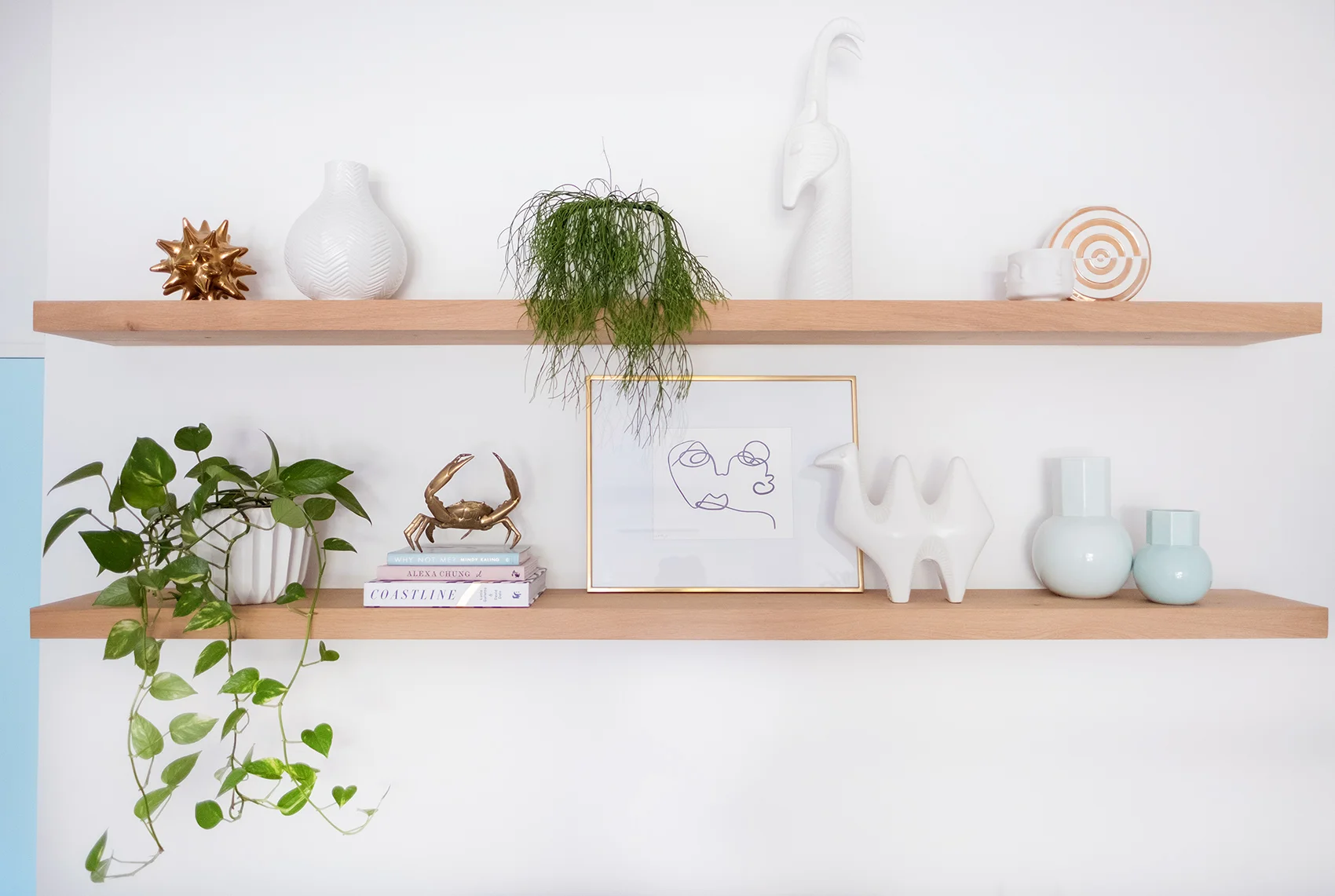 shelves_living_room_reveal_blue_off_white_interior.jpg