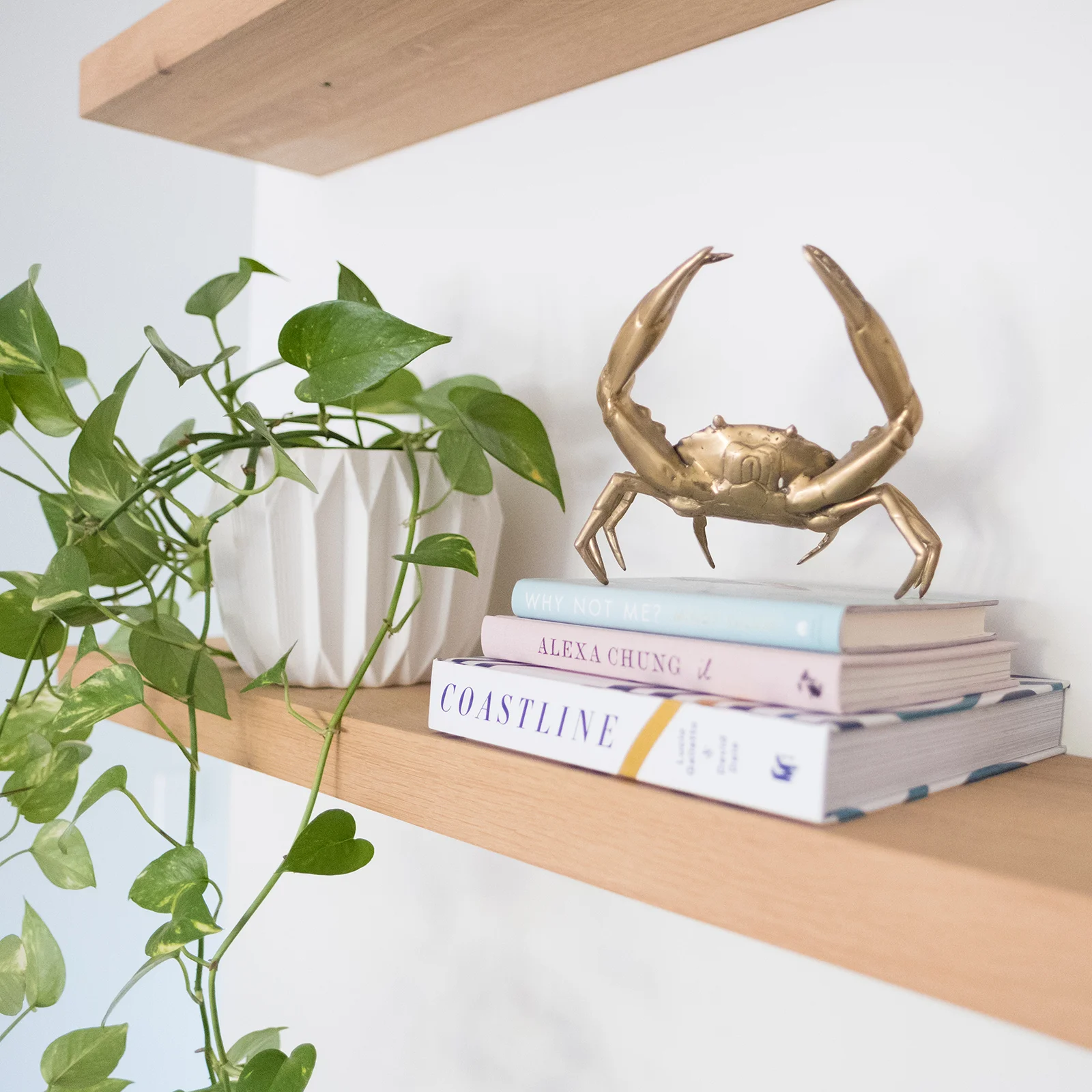 shelves_close_up_brass_crab_book_styling.jpg