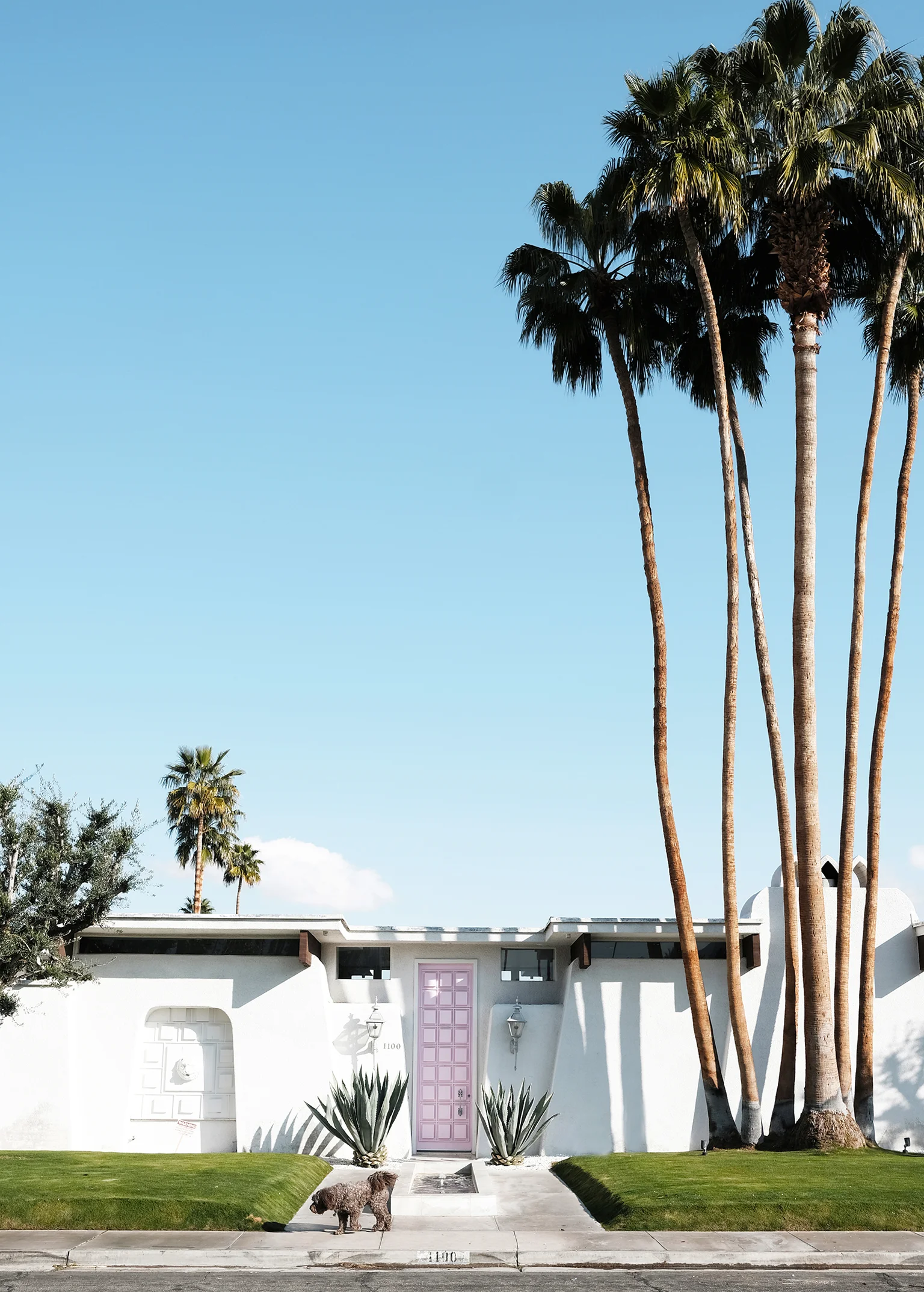 adore_home_blog_palm_springs_that_pink_door_.jpg