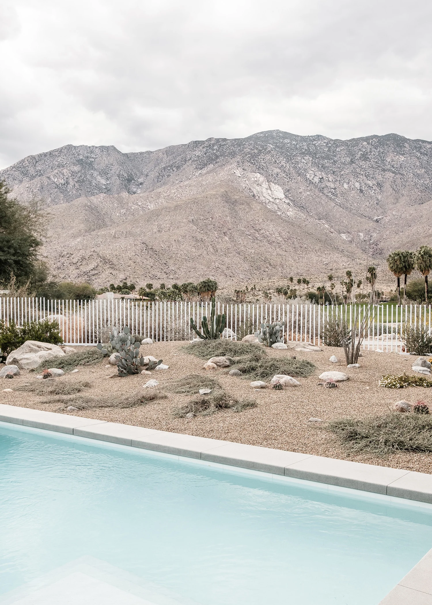 modernism_week_garden_tour_1.jpg