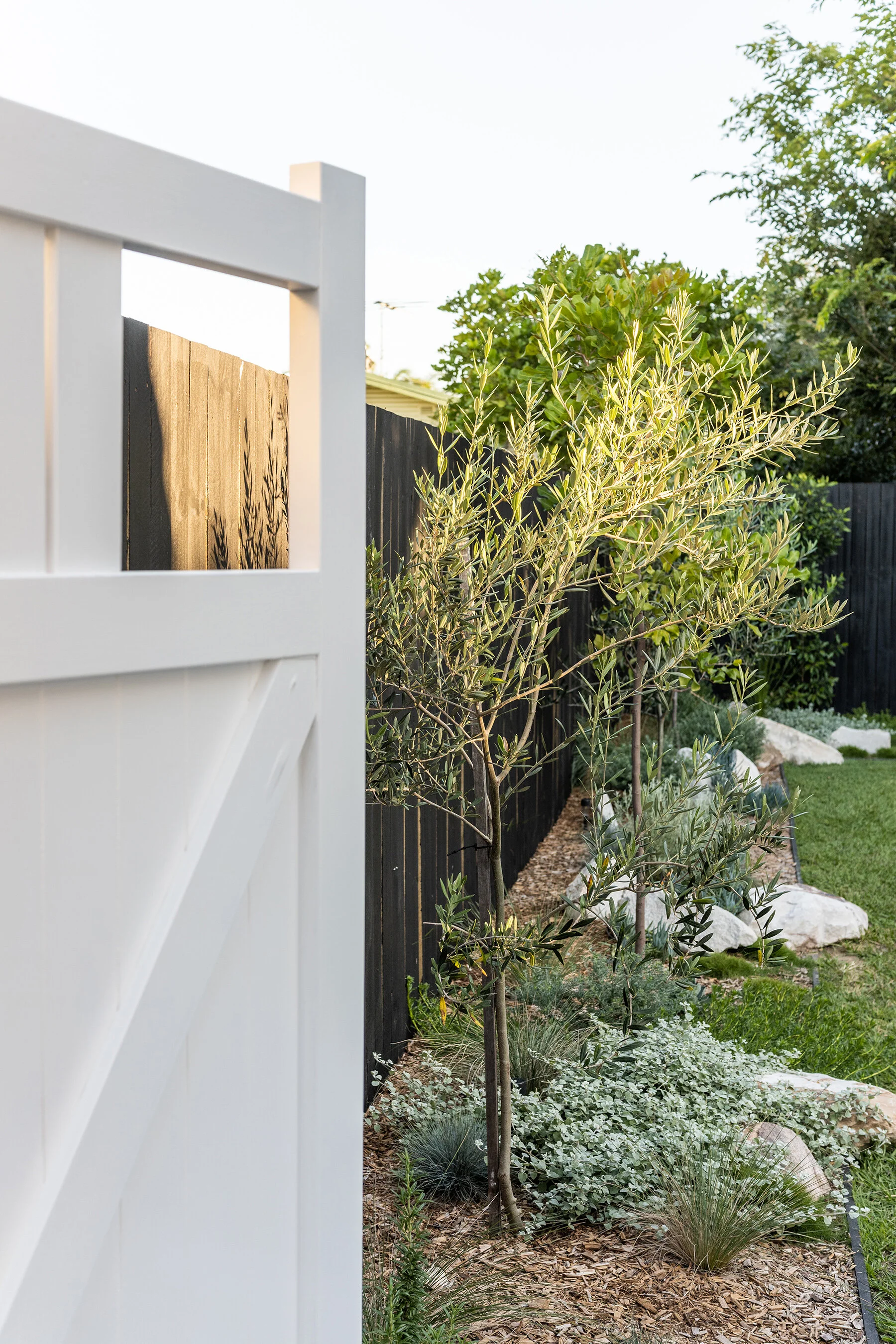 win an outdoor makeover on My Backyard Makeover Adore Home Magazine