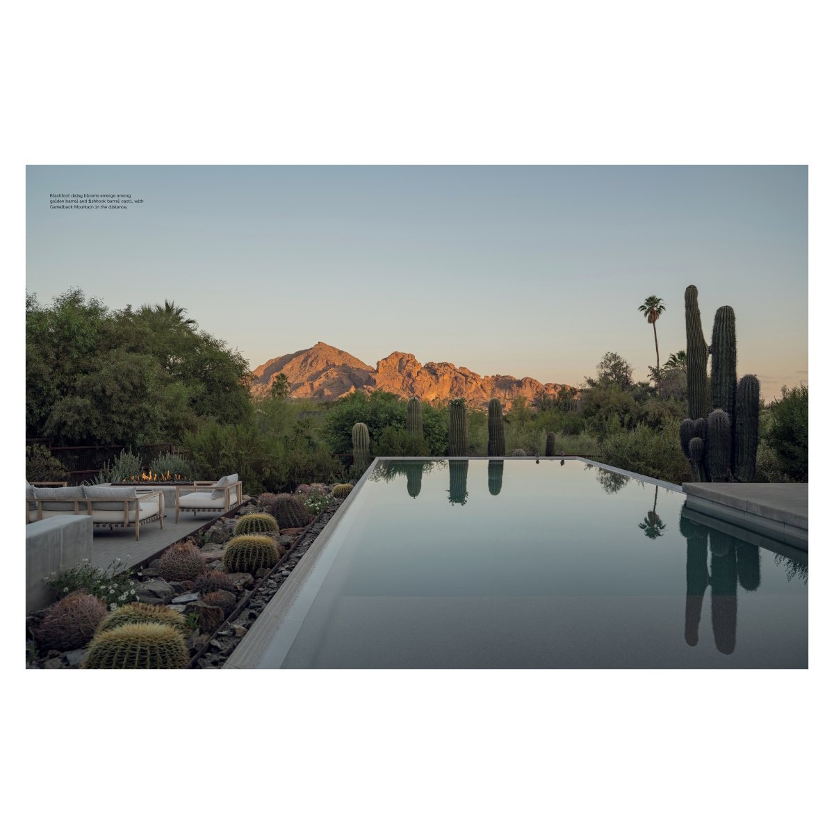 Desert_Dreaming_Square_2.jpg