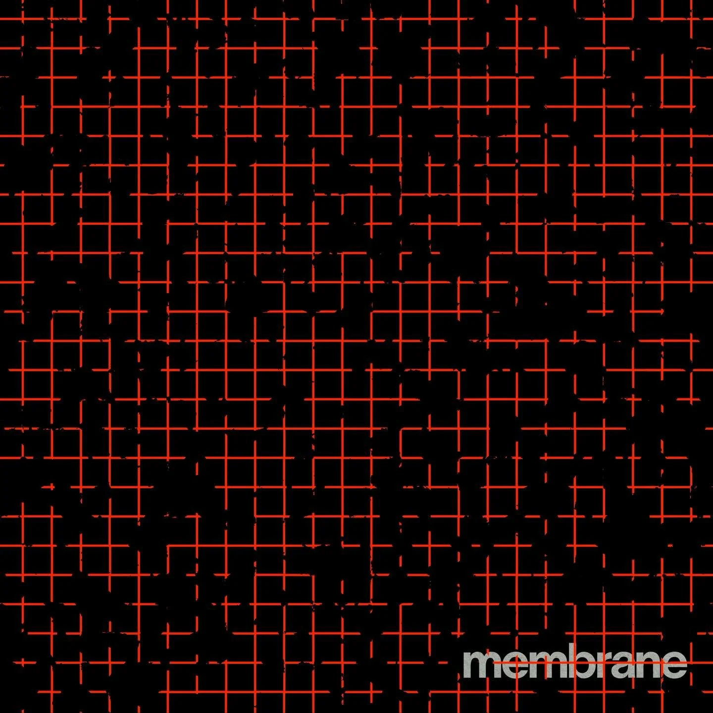 &ldquo;Membrane&rdquo; out now on Neumatik Records.

With Membrane, the line between inside and outside becomes blurred. The membrane is a thin boundary separating the chaos of the external world from the warmth of the dance floor. On one side noise,