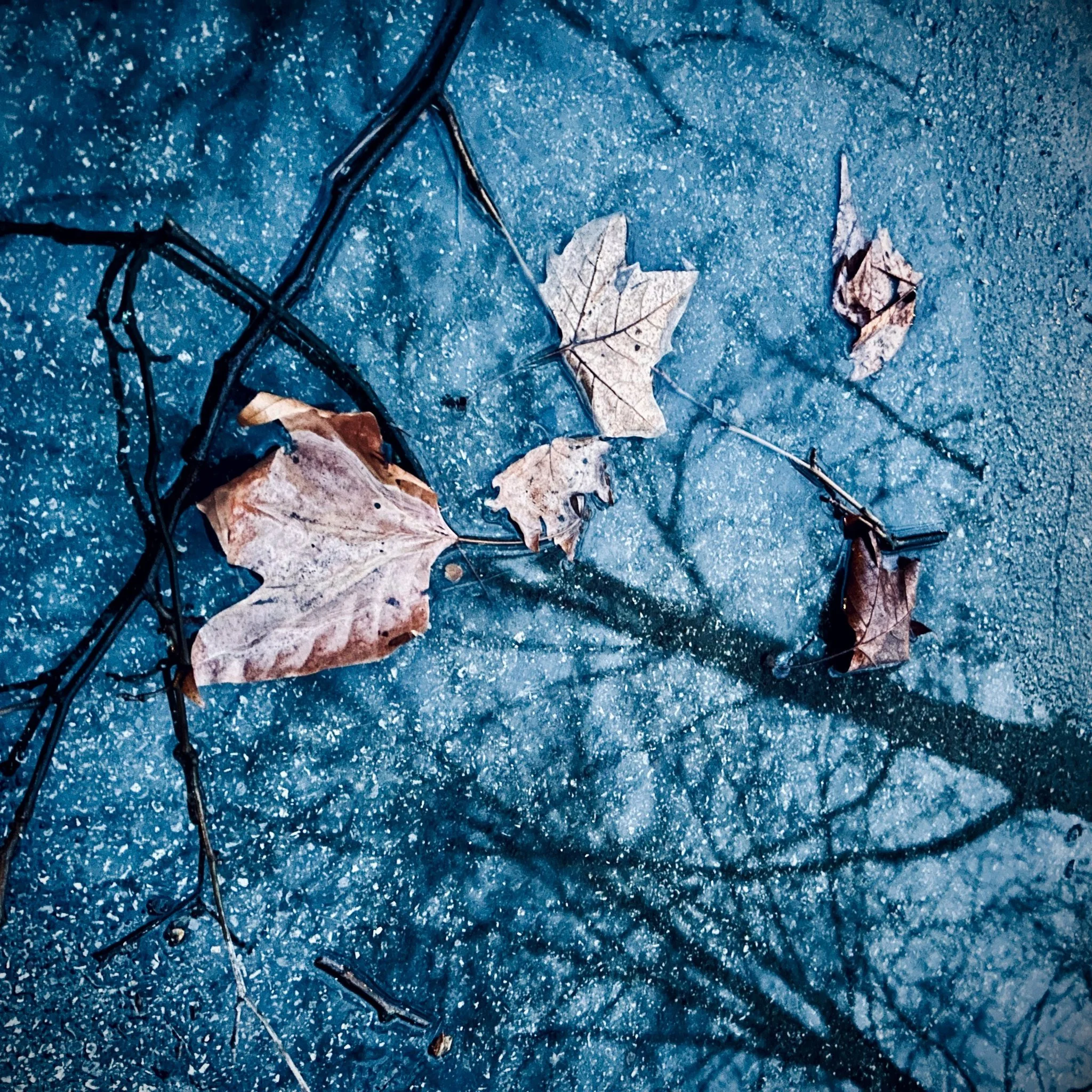 &ldquo;Daydreaming&rdquo; is out now on Naumatik Records.

Daydreaming is the quiet drift beyond the edges of the present, where thoughts loosen their grip and imagination breathes.
In those wandering moments, we stitch together futures not yet lived