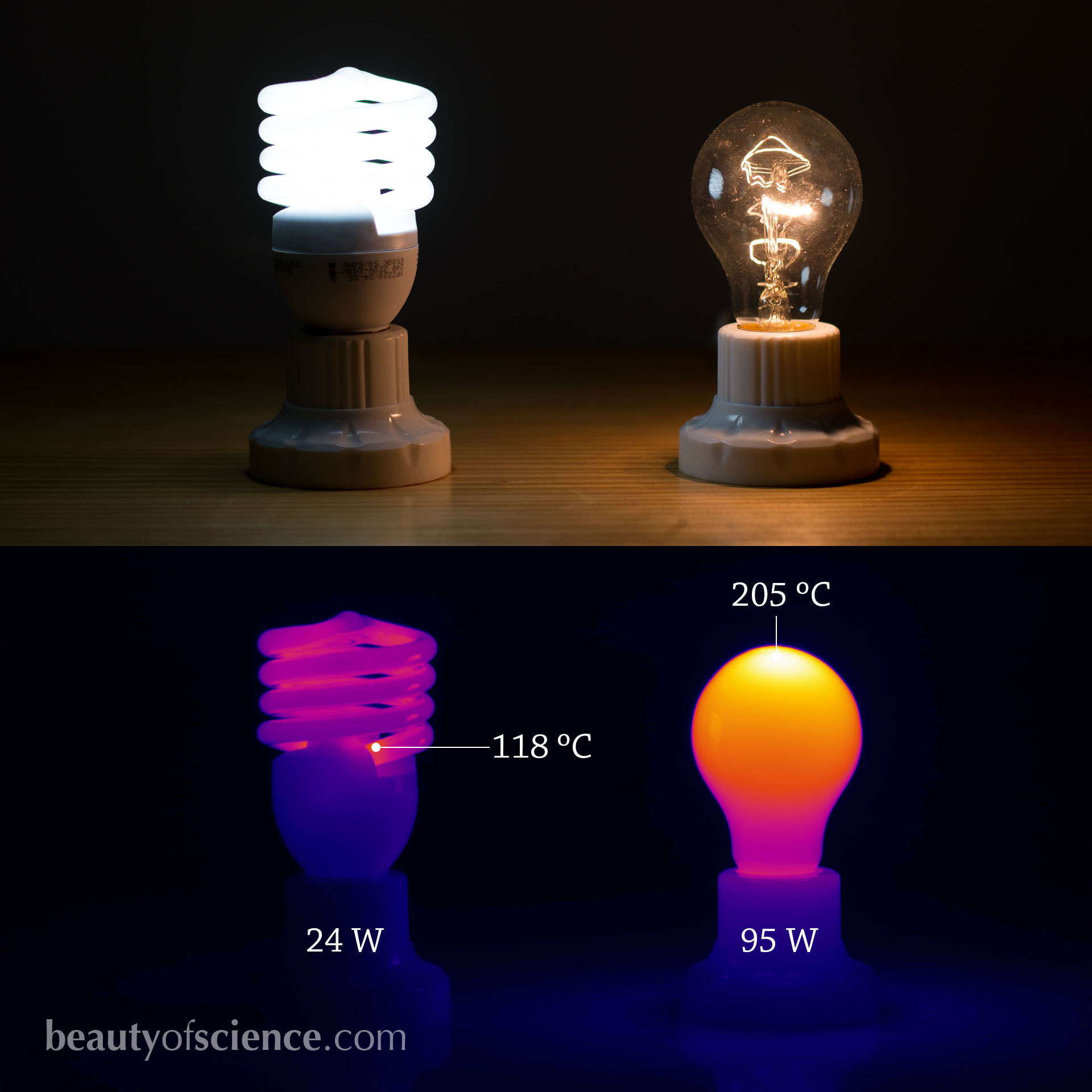 Comparison of fluorescent and incandescent light bulbs, both in the visible light and by using infrared thermal imaging.