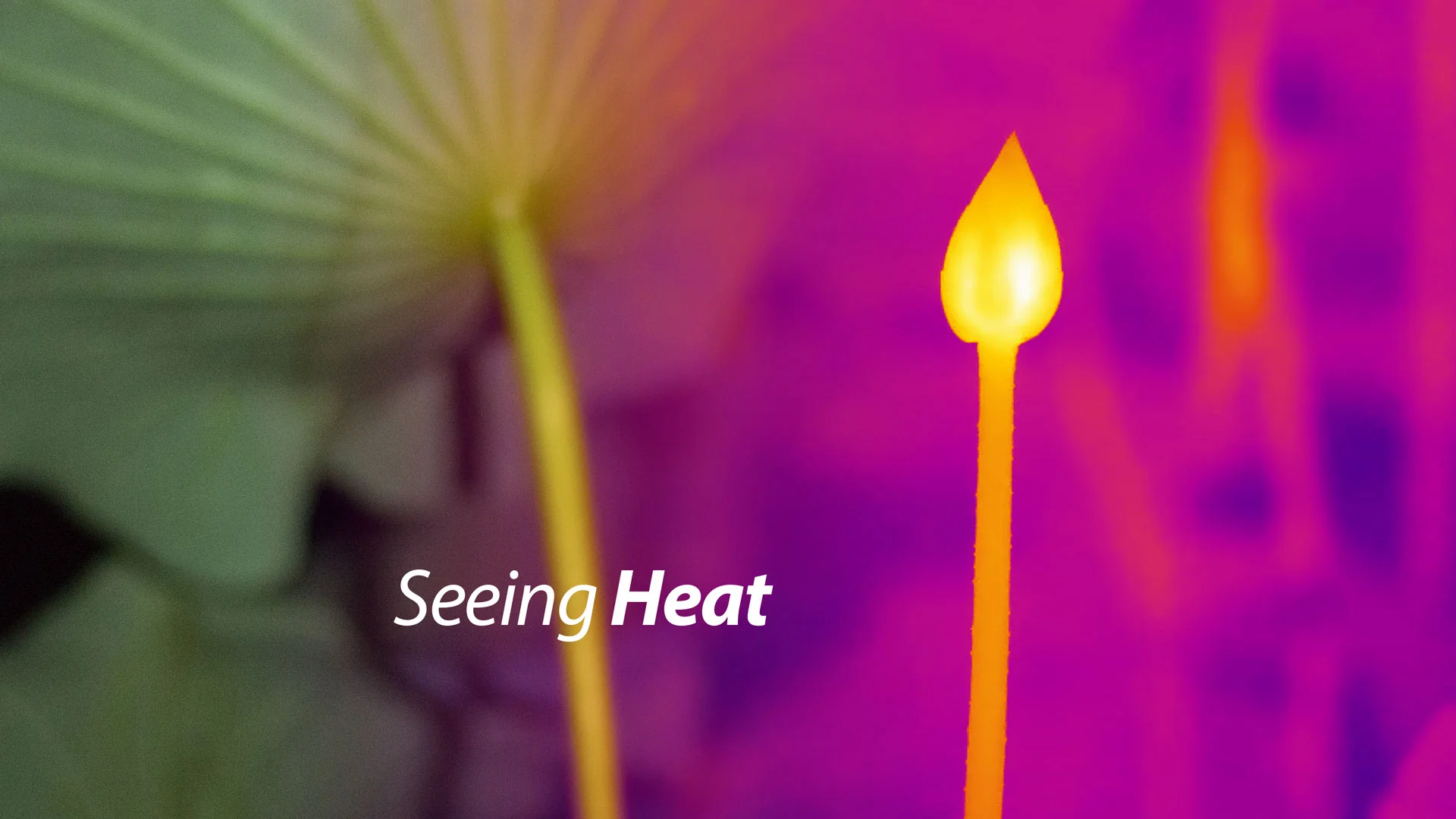 The Physics Of Heat Waves Seeing Is Believing - anxd1mu