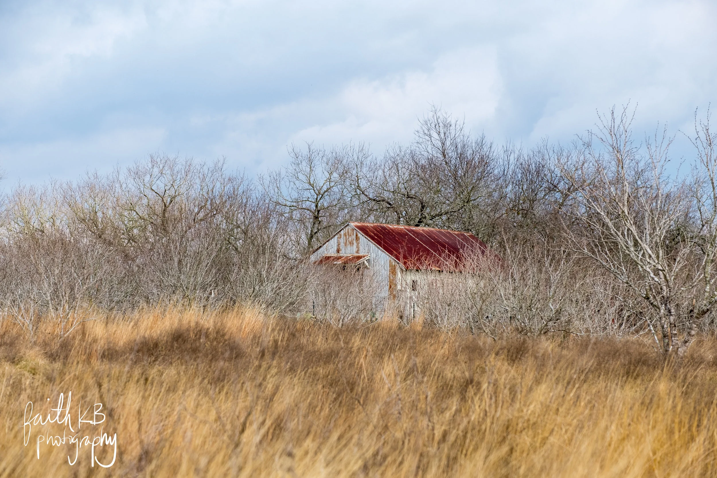 DSCF2955.jpg