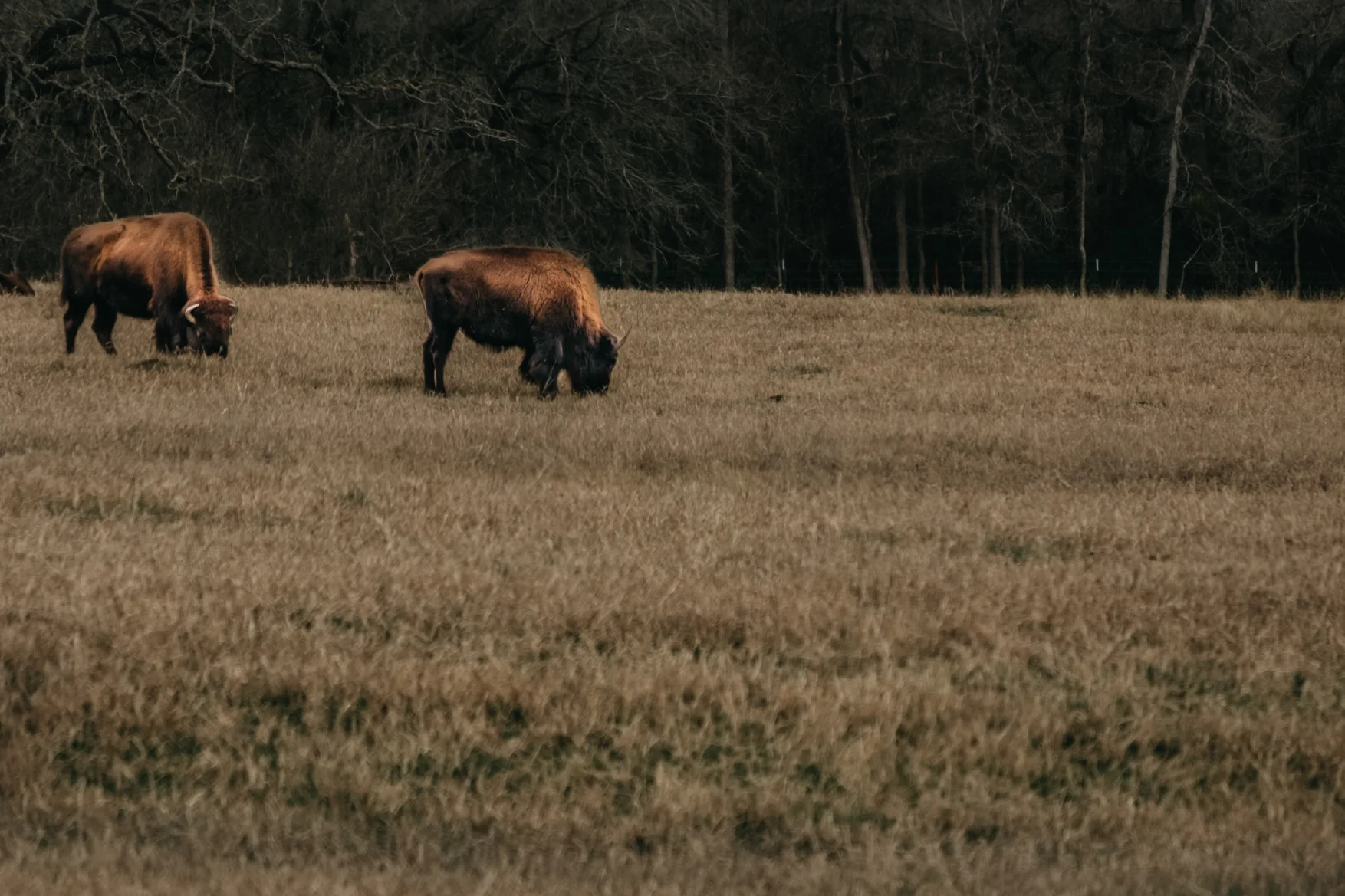 DSCF5548-HDR-Edit.jpg