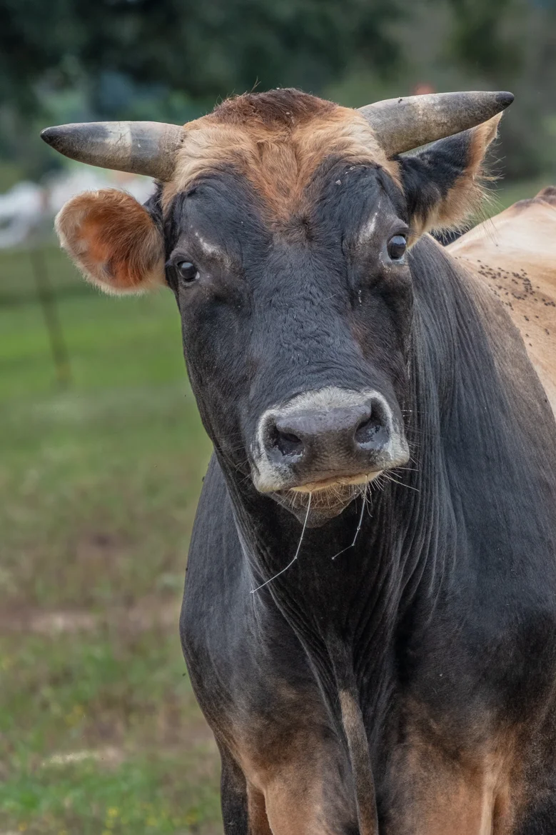 DSCF7717-HDR-Edit.jpg