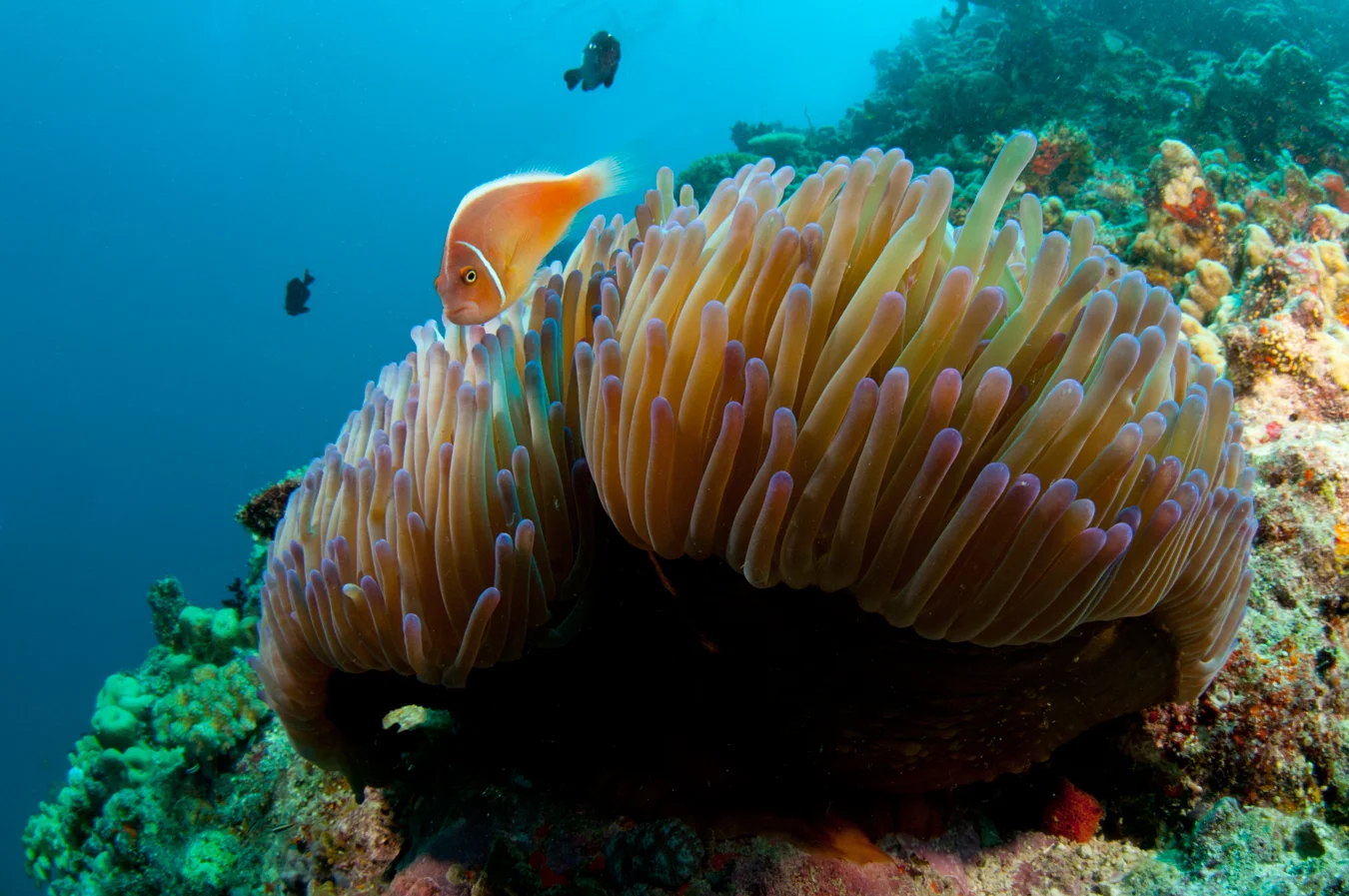 DSC_8593a.jpg