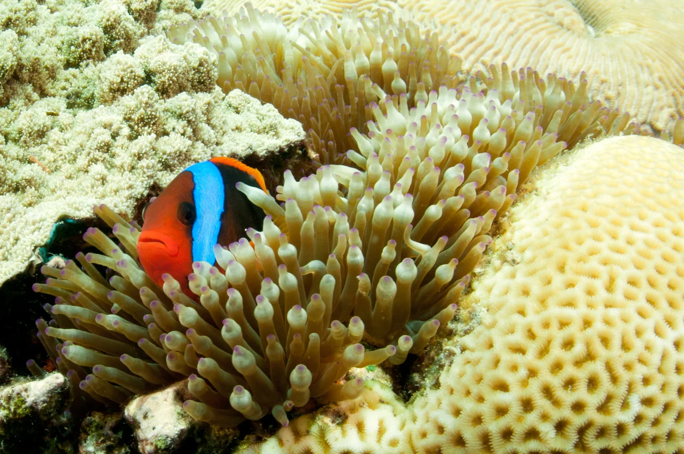 DSC_8672a.jpg