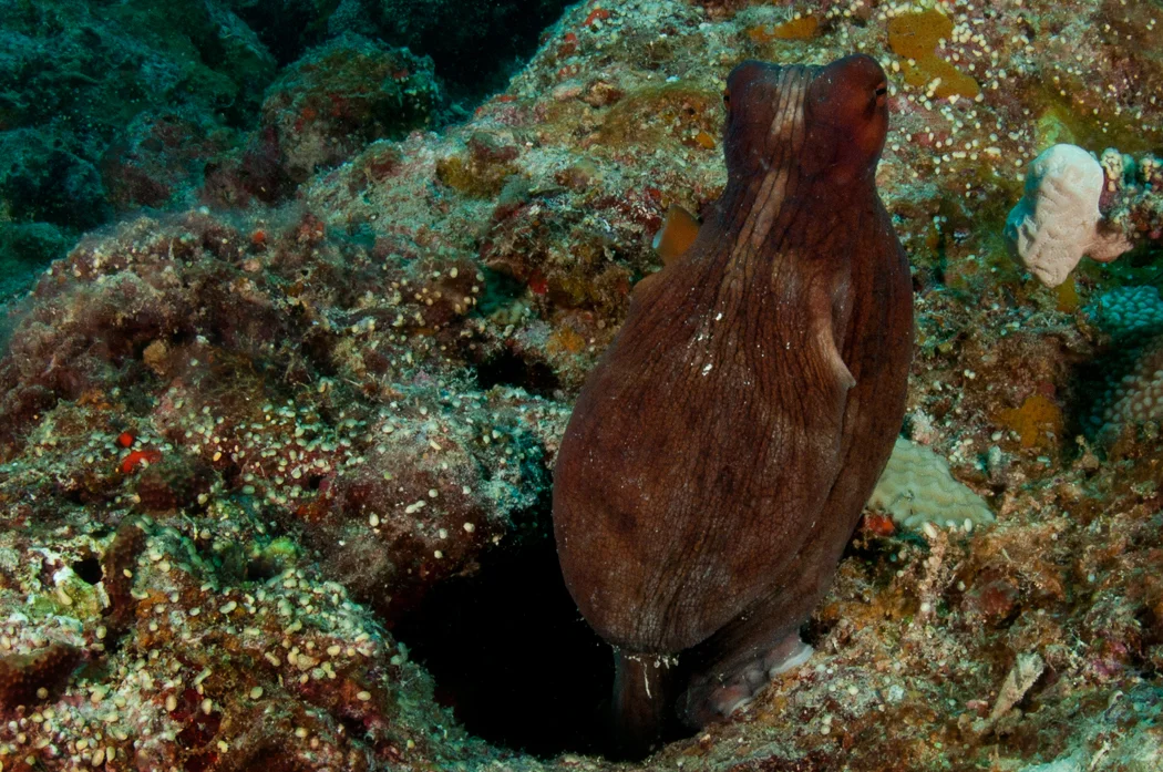 DSC_8571a.jpg