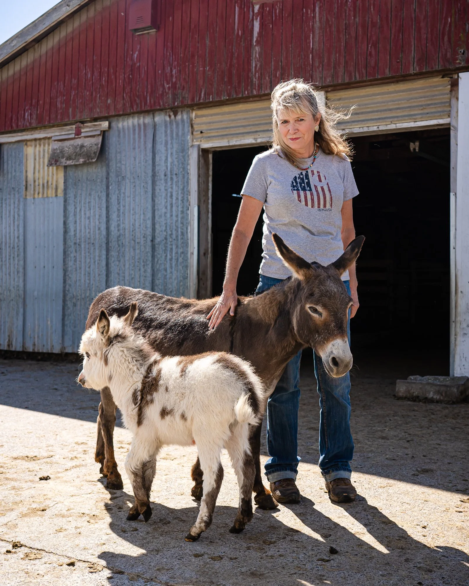 mini donkeys-240828-CL-10.jpg