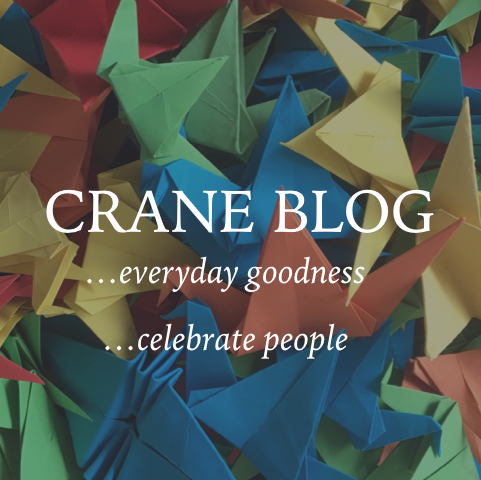 HUMAN What if social media could make us better people? That’s the idea that prompted Crane Blog. Sam folded one thousand origami cranes and spontaneously gives them to people who have done good things in everyday life. Each story is shared on Facebook and Instagram via Crane Blog, along with a photo of each crane. 