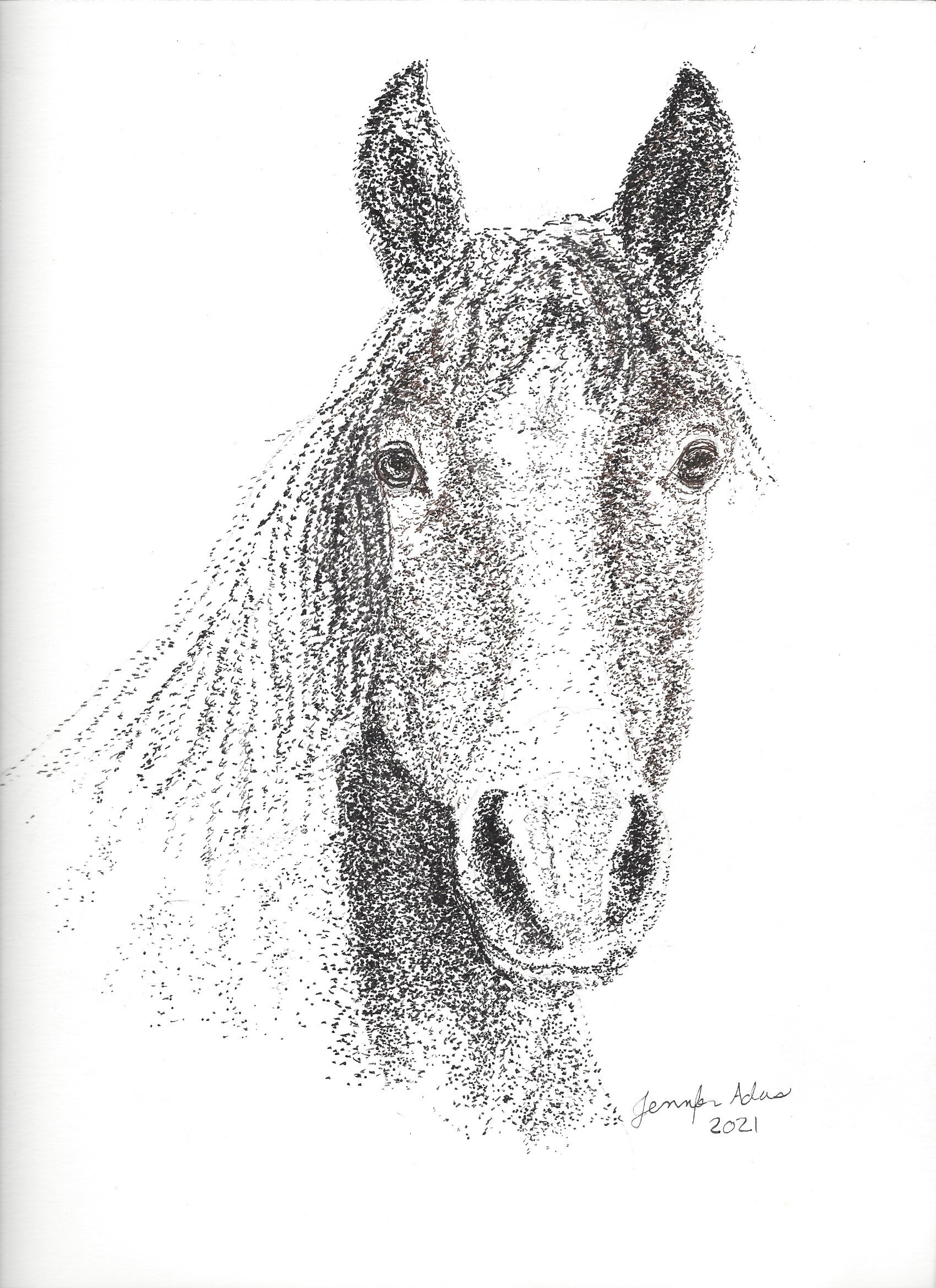 horse 1.jpg