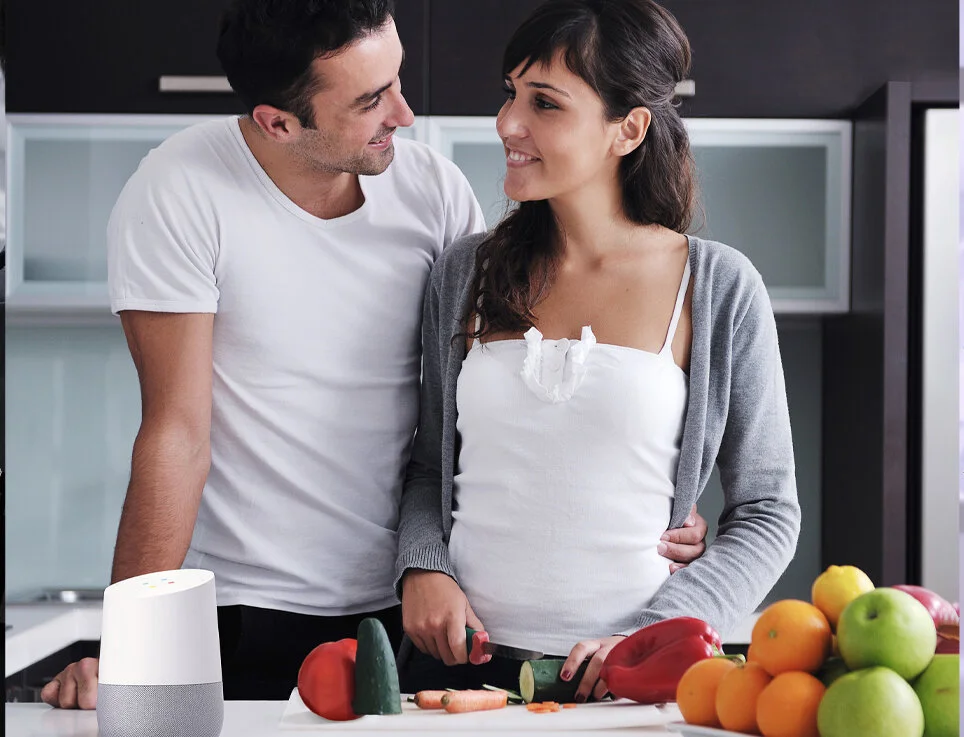 voice control picture.jpg