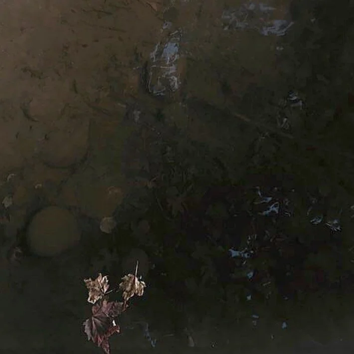 The thing about Fall is you definitely want to ease into the transitions it brings. We&rsquo;ve rounded up our 3 favorite classes to help right now in our latest newsletter, and you will certainly want to try yourself. 🍁

Remember: memberships get a