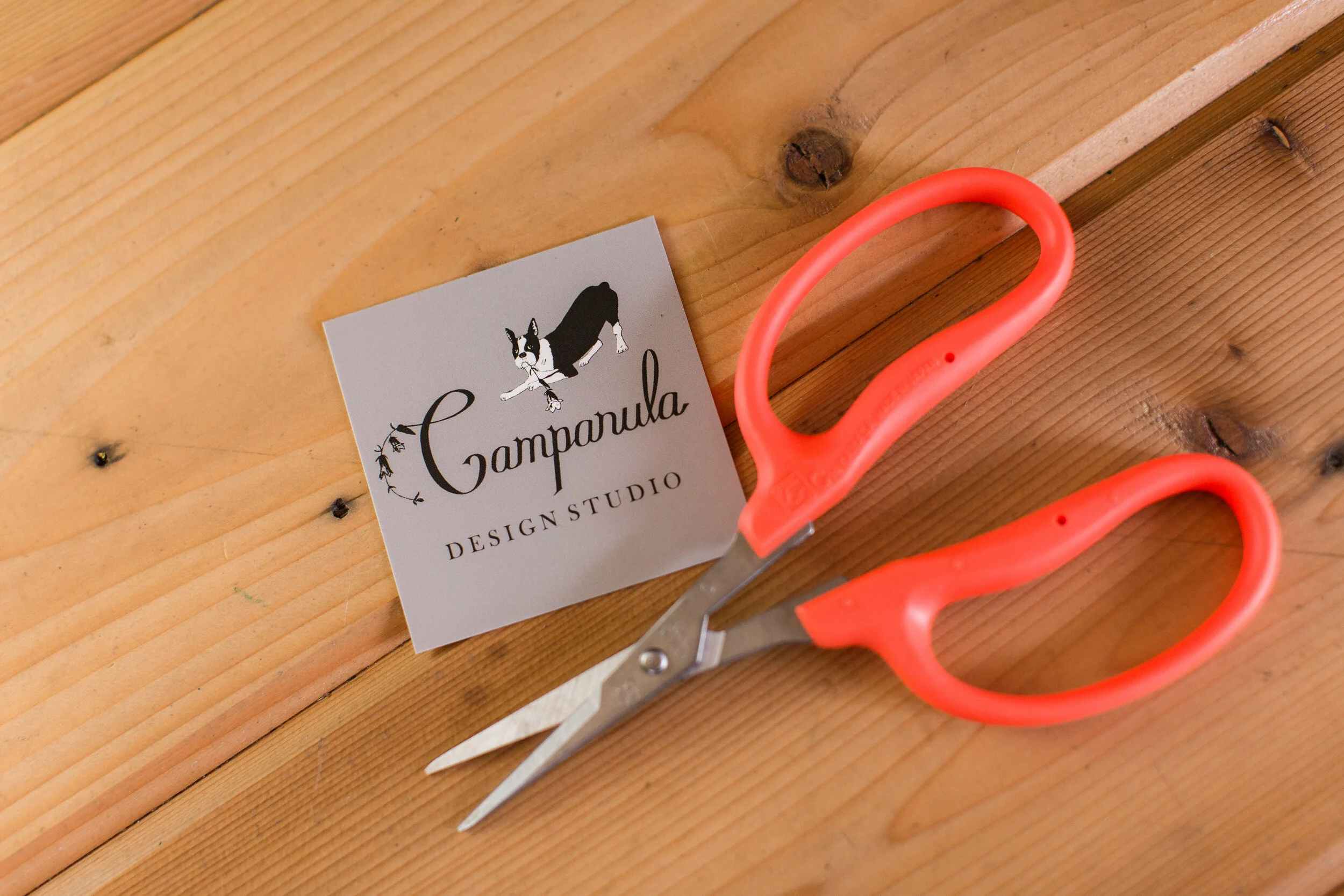 Brand Client Feature | Campanula Design Studio | Seattle, WA