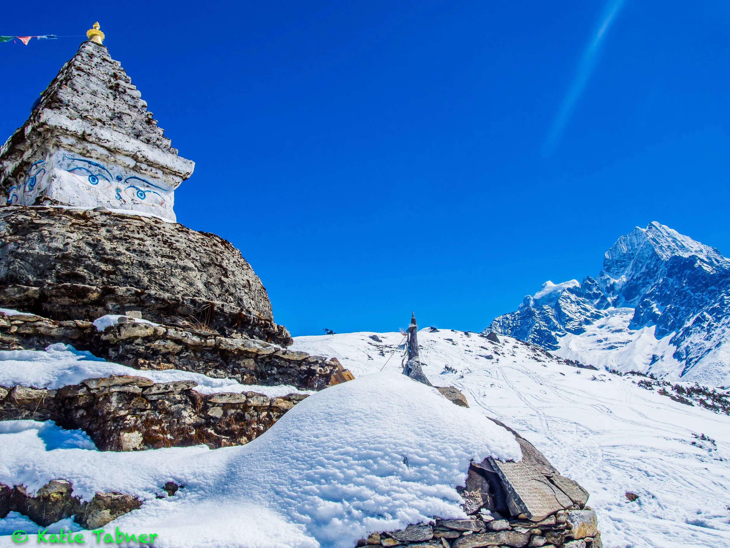 P3100421.jpg