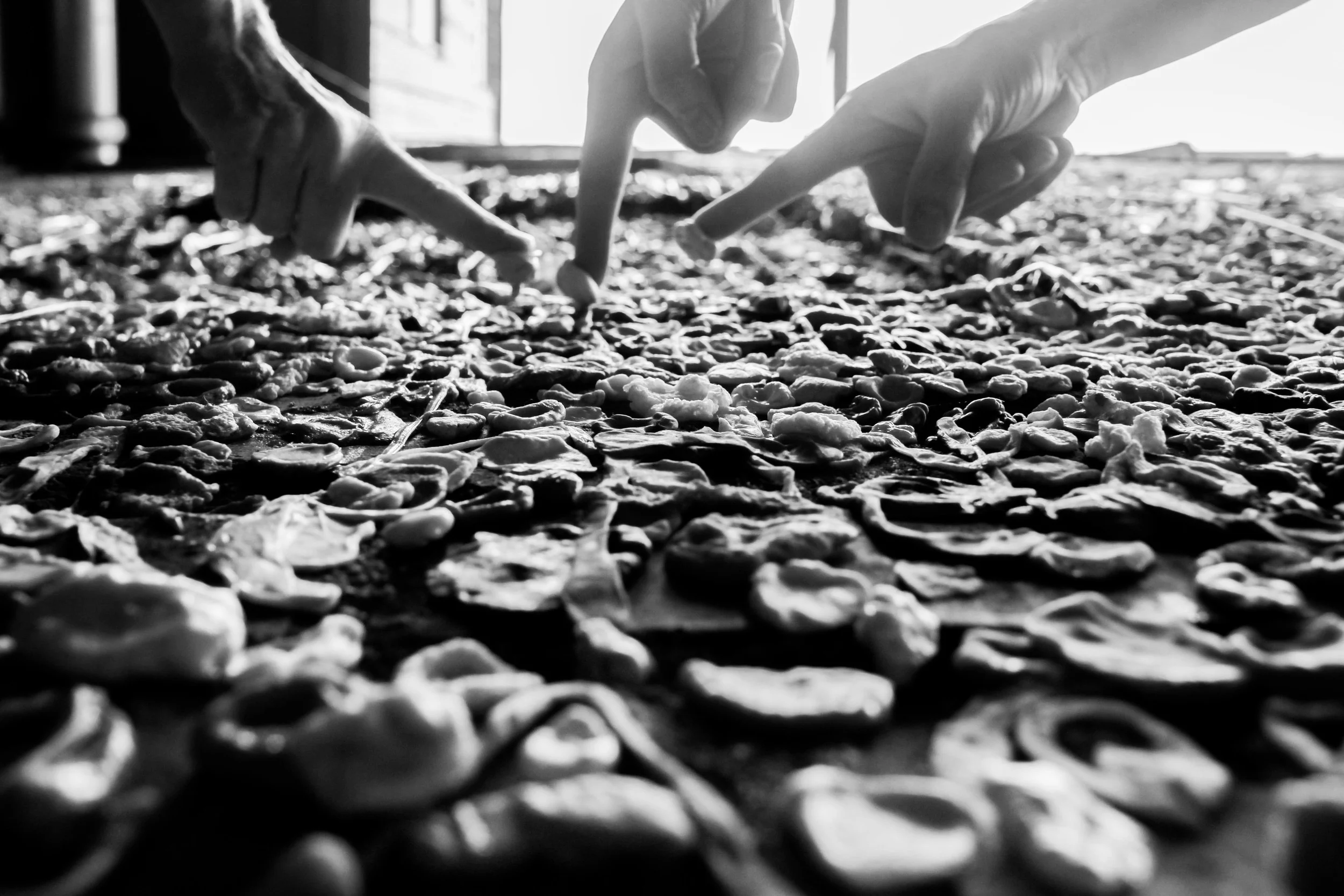 Gum Wall-29.jpg