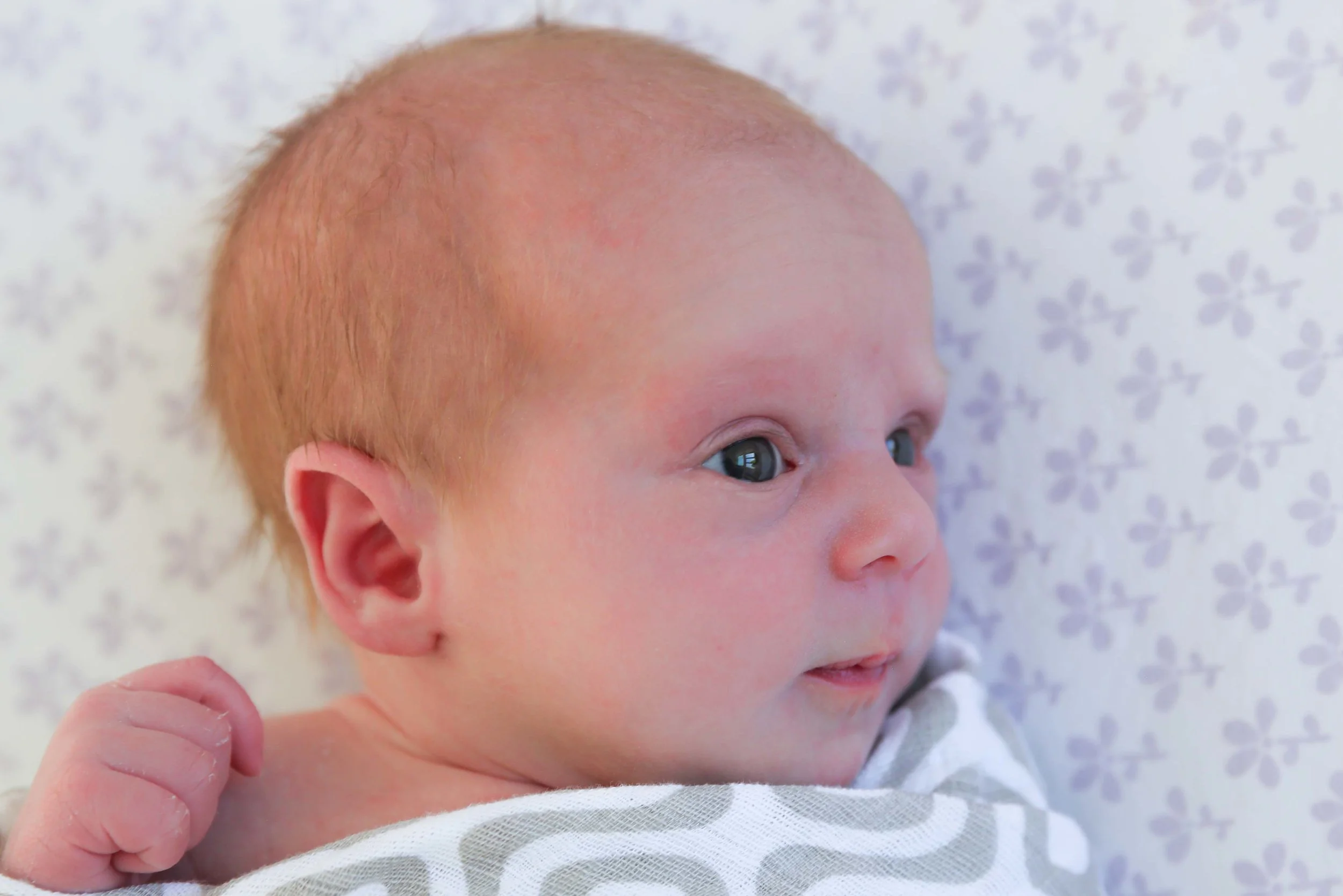 O Newborn-269.jpg