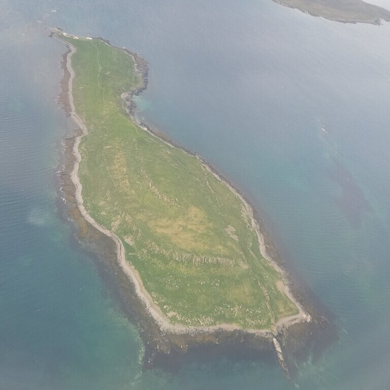 Vigur Island