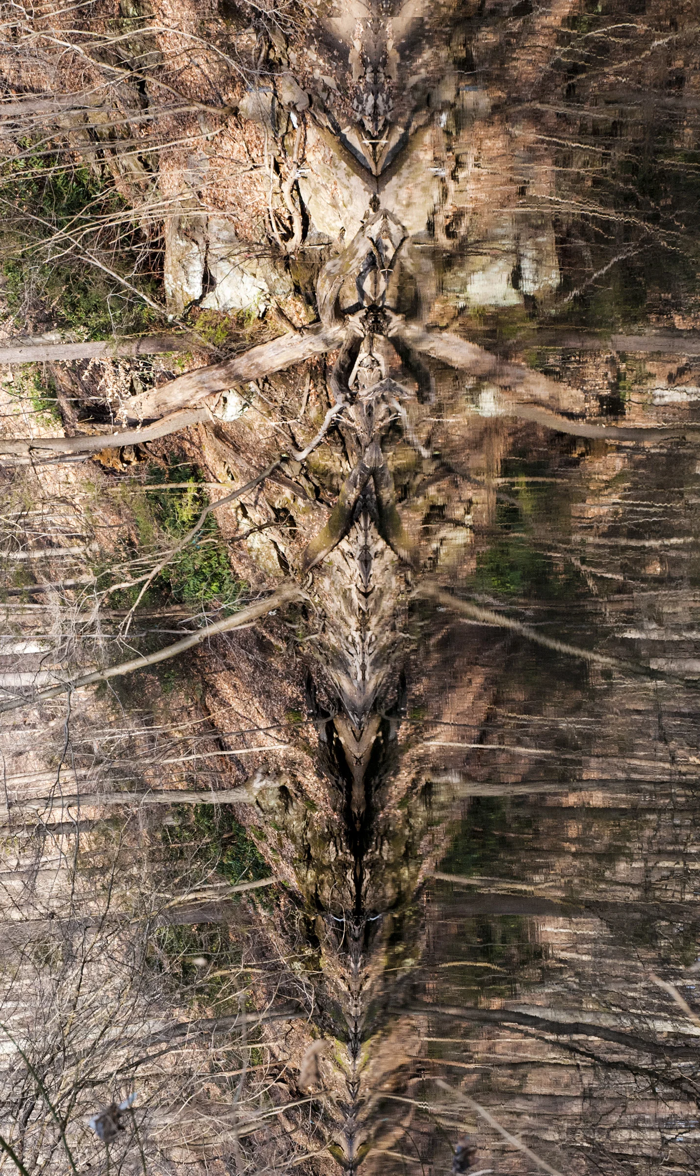 Reflect WS.jpg