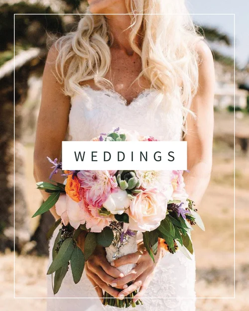 Bella Blooms, business photo 5