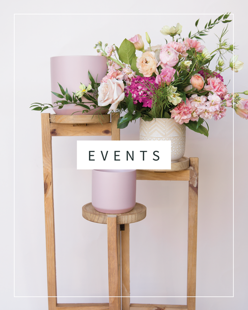 Bella Blooms, business photo 6