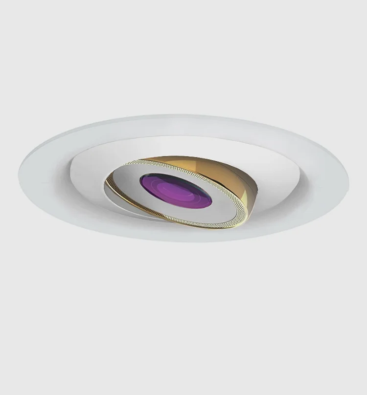 5.VANTAGE_WHITE_Gold_InCeiling.jpg