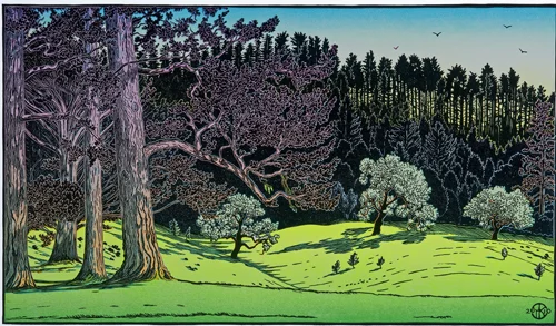 Divide Meadow (Pt. Reyes National Seashore)