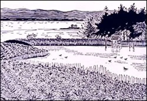 Coastways Ranch, Ano Nuevo