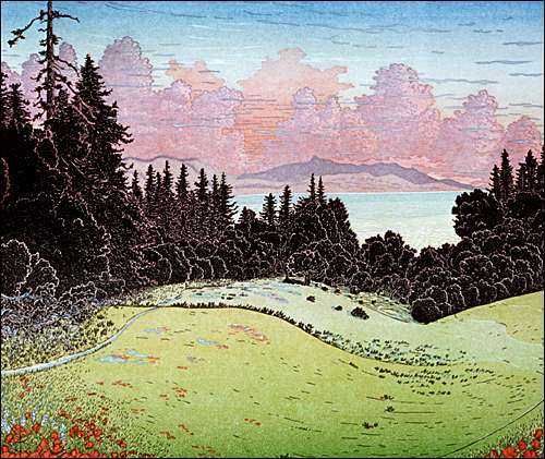 Tree-with-Windows, Santa Cruz Pogonip.jpg