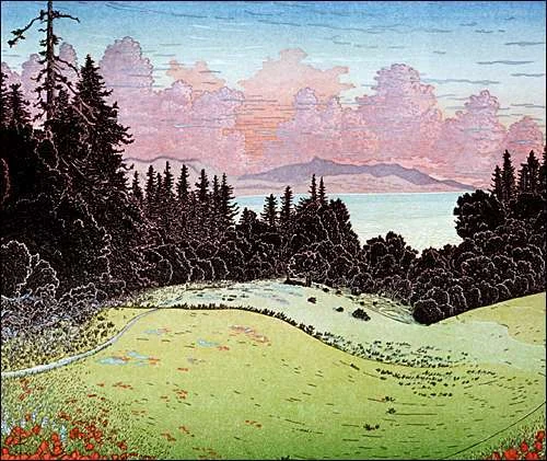 Tree-with-Windows, Santa Cruz Pogonip