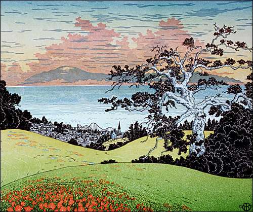 Santa Cruz from the Pogonip