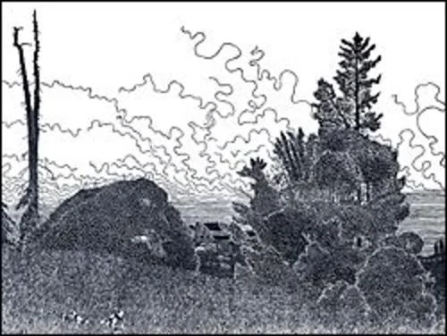 Woodpecker Tree, UCSC Farm