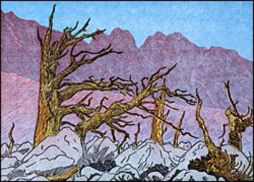 Chagoopa Plateau
